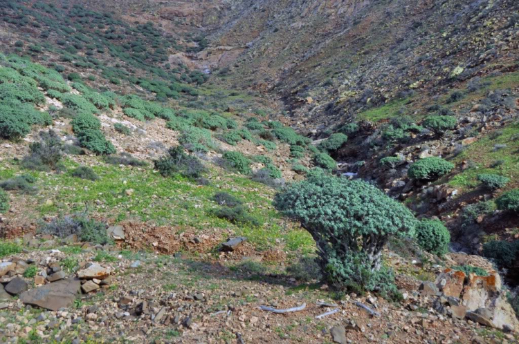 Fuerteventura, Lanzarote: hai trong mười hòn đảo đẹp nhất châu Âu.