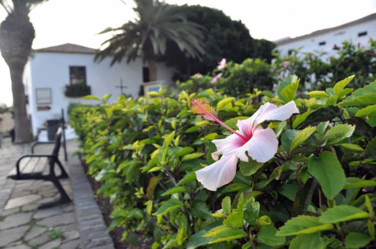 Fuerteventura, Lanzarote: hai trong mười hòn đảo đẹp nhất châu Âu.