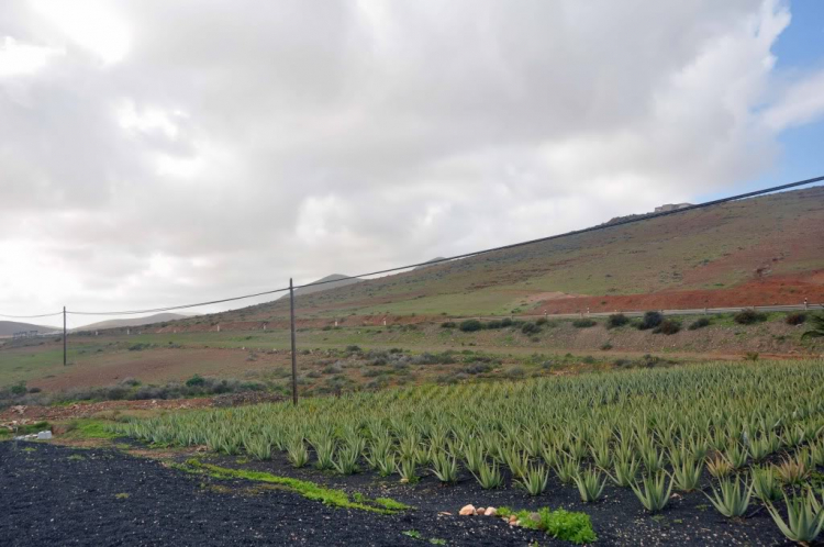 Fuerteventura, Lanzarote: hai trong mười hòn đảo đẹp nhất châu Âu.