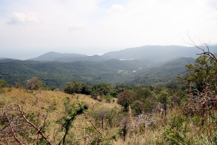 NÚI CHÚA - THẤT ĐỈNH