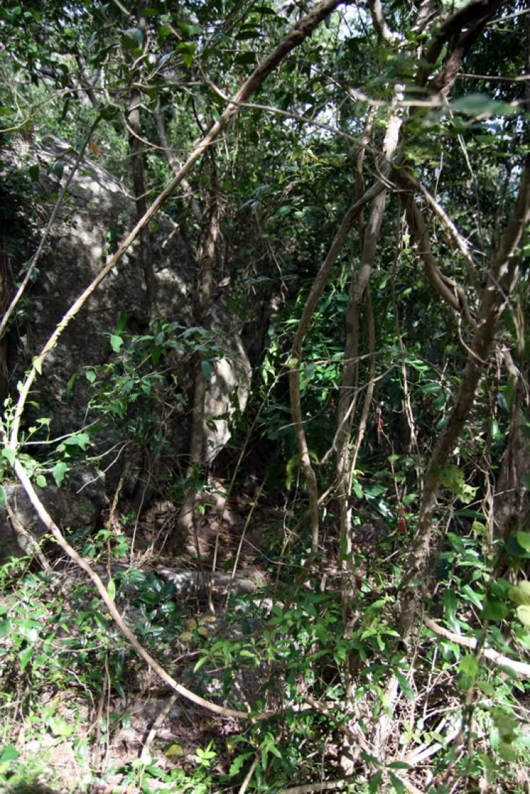 NÚI CHÚA - THẤT ĐỈNH