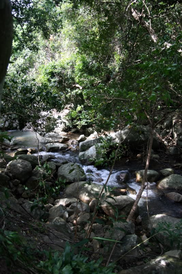 NÚI CHÚA - THẤT ĐỈNH