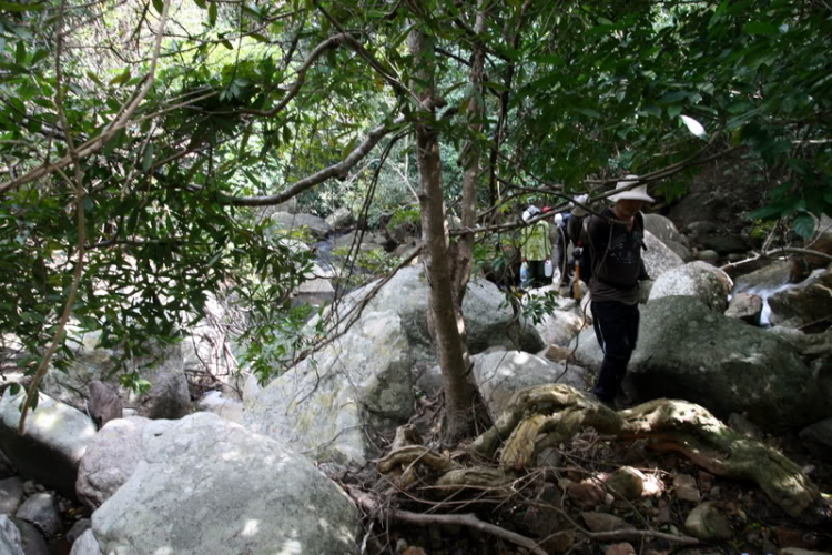 NÚI CHÚA - THẤT ĐỈNH