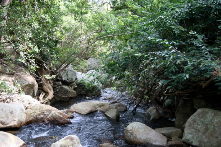 NÚI CHÚA - THẤT ĐỈNH