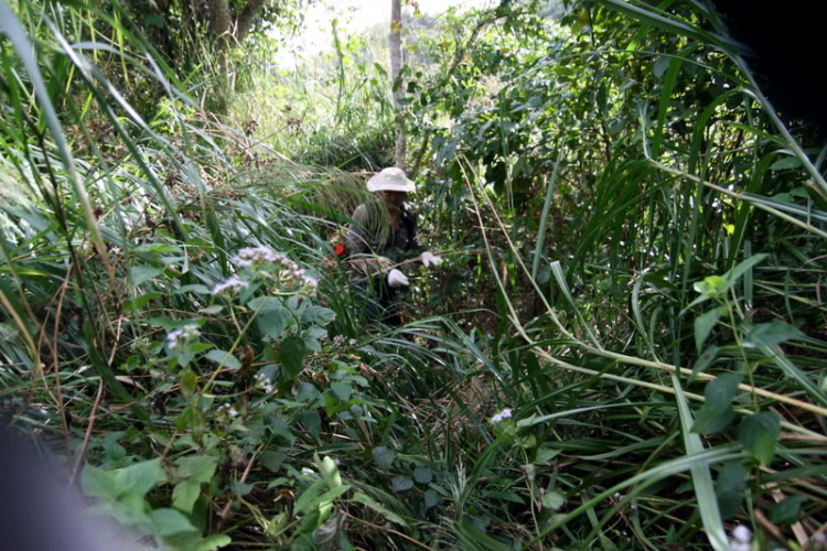 NÚI CHÚA - THẤT ĐỈNH