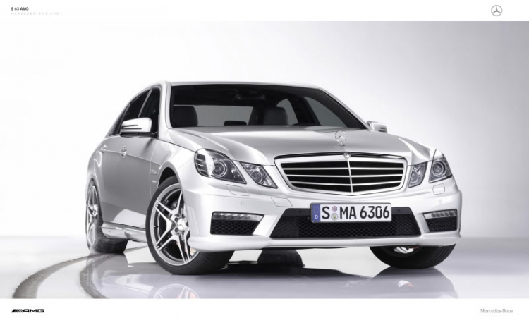 E 63 AMG - Barbus - Wald