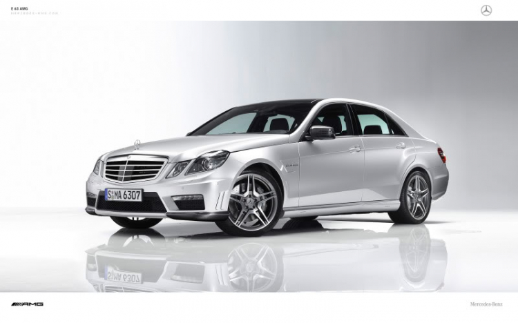 E 63 AMG - Barbus - Wald