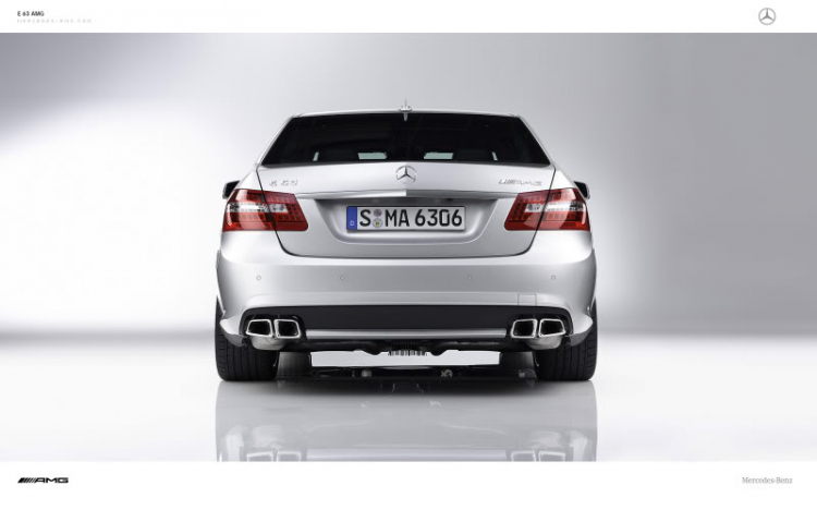 E 63 AMG - Barbus - Wald