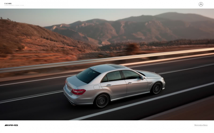 E 63 AMG - Barbus - Wald