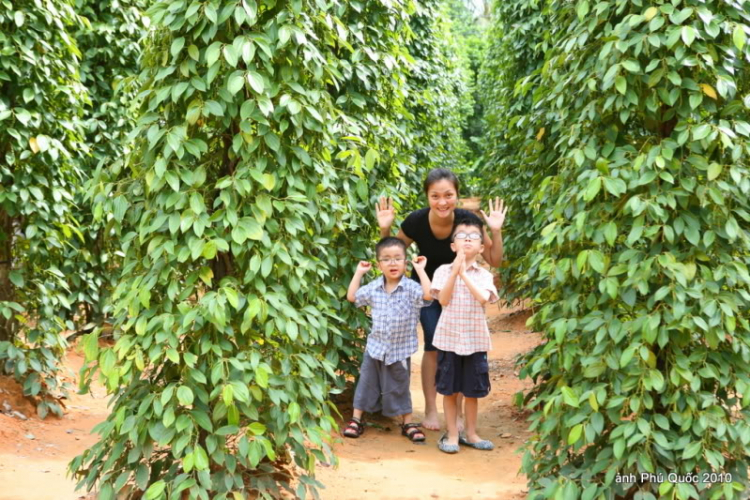 30/04 & 1/5 cho các gia đình kỉ niệm ngày cưới 30/04 & 1/5 cho các gia đình kỉ niệm ngày cưới