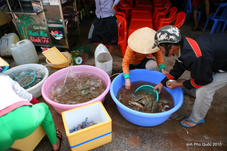 30/04 & 1/5 cho các gia đình kỉ niệm ngày cưới 30/04 & 1/5 cho các gia đình kỉ niệm ngày cưới