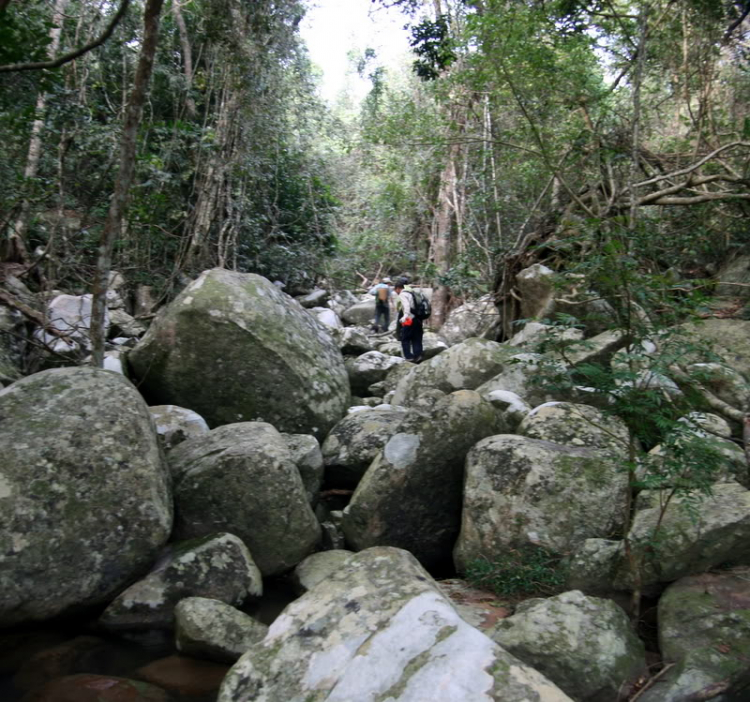 NÚI CHÚA - THẤT ĐỈNH