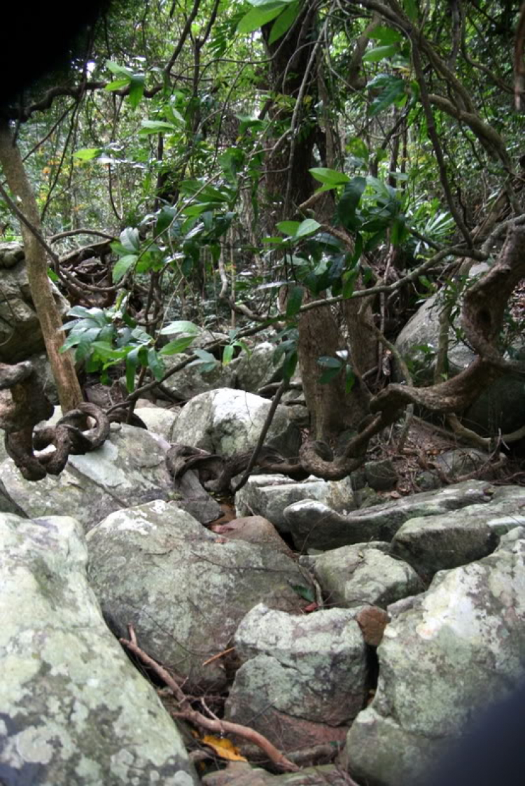 NÚI CHÚA - THẤT ĐỈNH