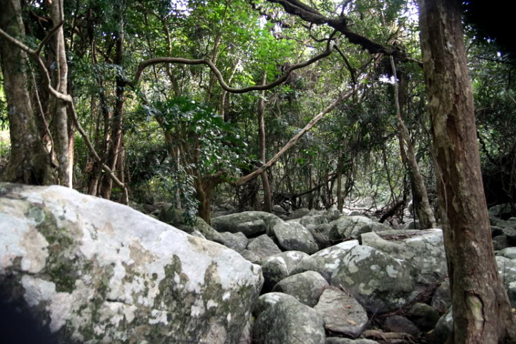 NÚI CHÚA - THẤT ĐỈNH