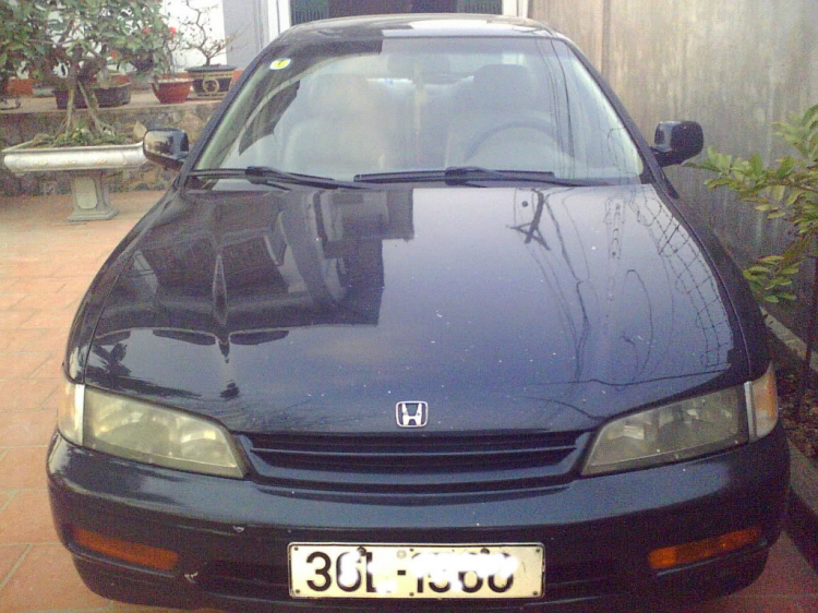 Honda Accord 95 Honda Accord 95