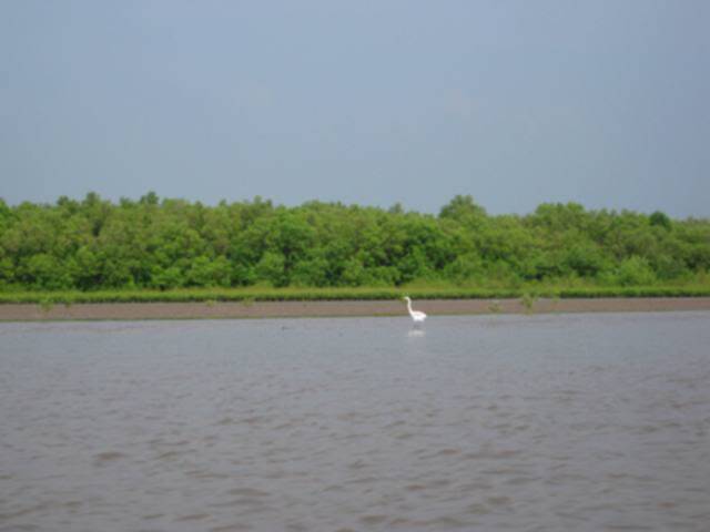 Ca Mau
