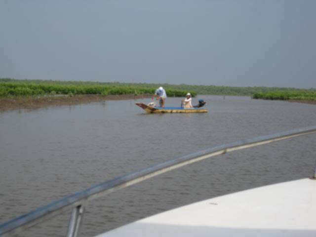 Ca Mau