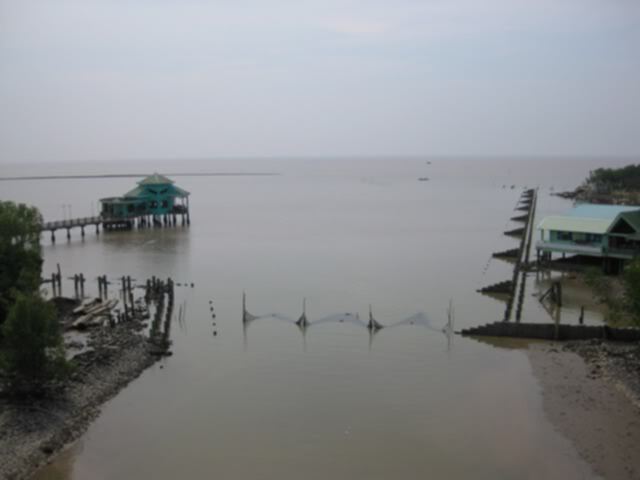 Ca Mau