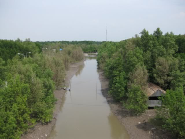 Ca Mau