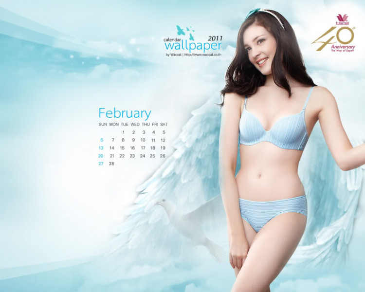 Focus và người đẹp