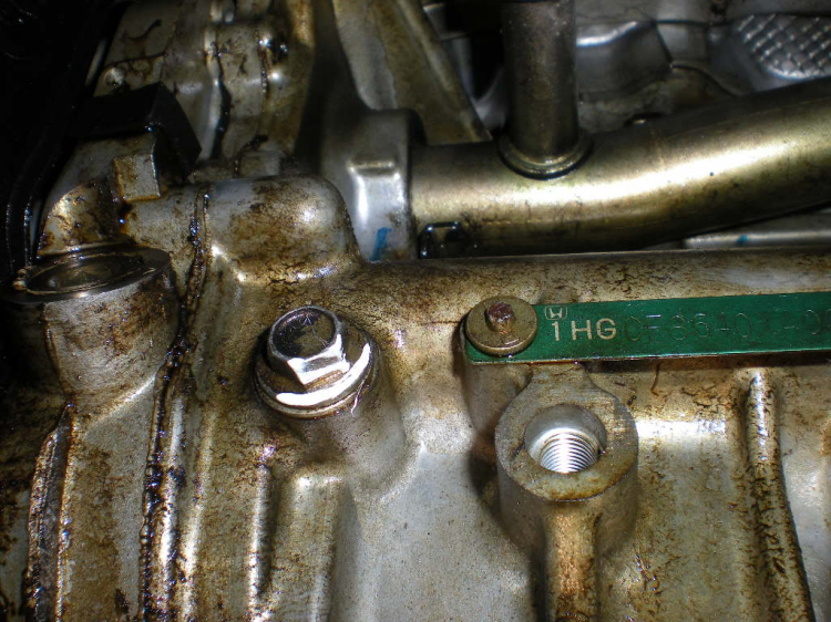 THAY TIMING BELT . THAY TIMING BELT .
