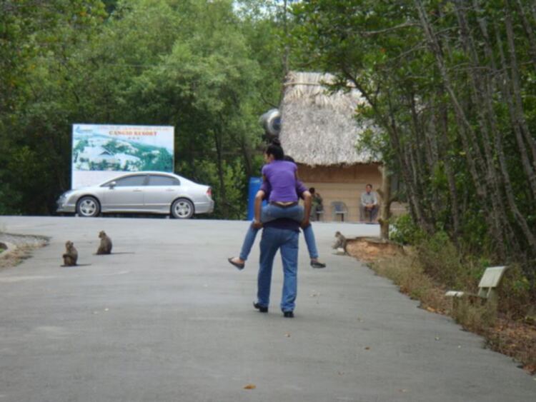 HFC chương trình off Cần giờ - Trang 7 - Kỳ Nam Resort HFC chương trình off Cần giờ - Trang 7 - Kỳ Nam Resort