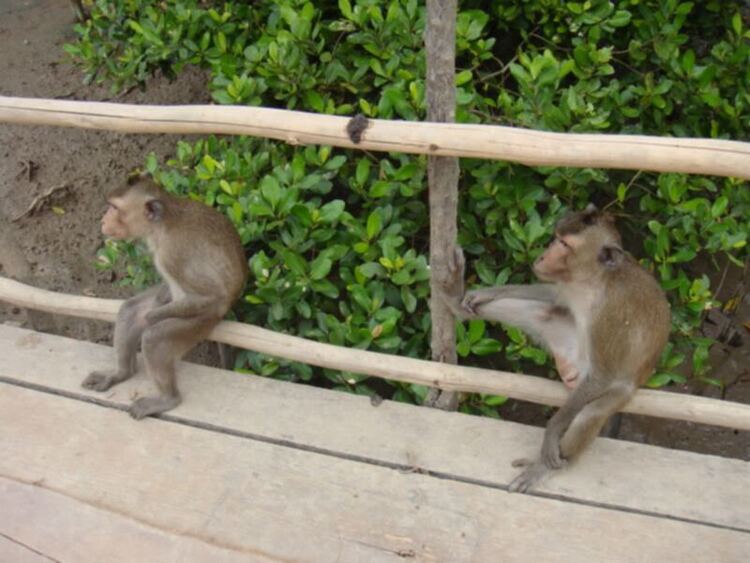 HFC chương trình off Cần giờ - Trang 7 - Kỳ Nam Resort HFC chương trình off Cần giờ - Trang 7 - Kỳ Nam Resort