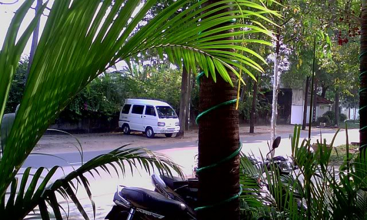 Thủ Đức_cafe hàng tuần Thủ Đức_cafe hàng tuần