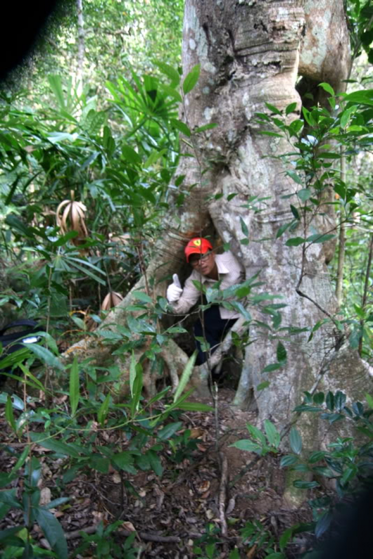 NÚI CHÚA - THẤT ĐỈNH