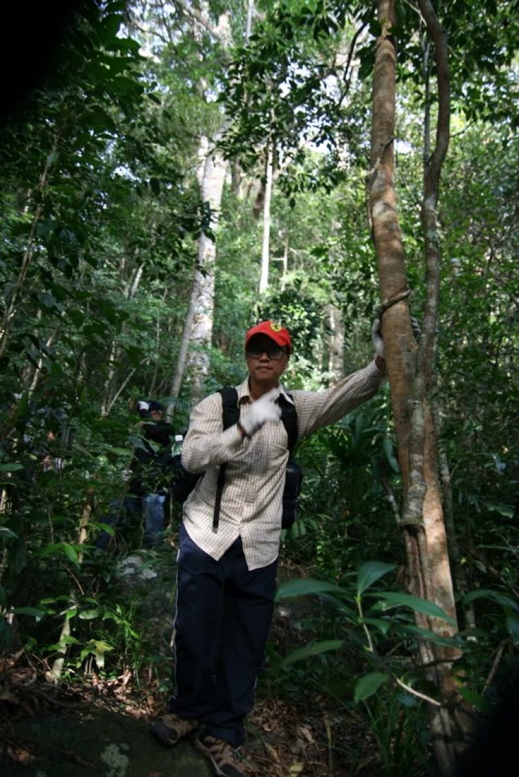 NÚI CHÚA - THẤT ĐỈNH