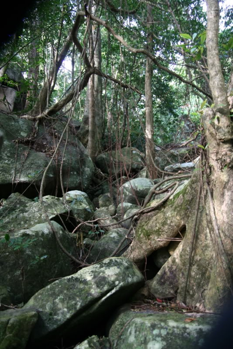 NÚI CHÚA - THẤT ĐỈNH