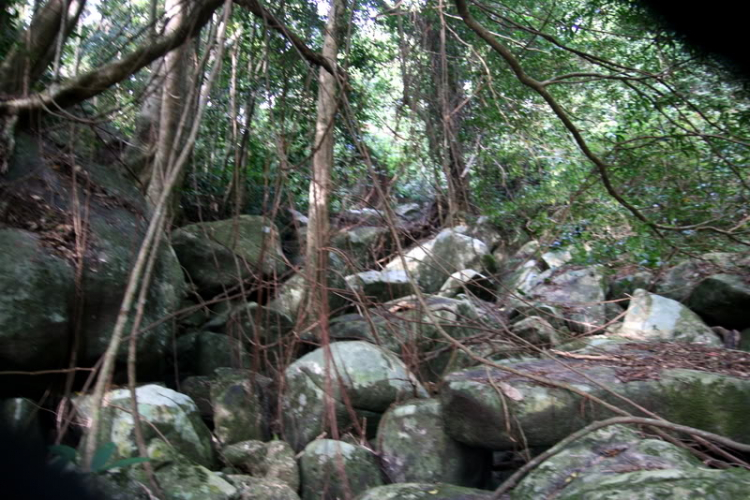 NÚI CHÚA - THẤT ĐỈNH