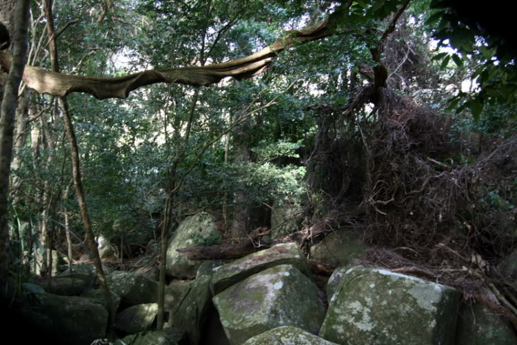 NÚI CHÚA - THẤT ĐỈNH