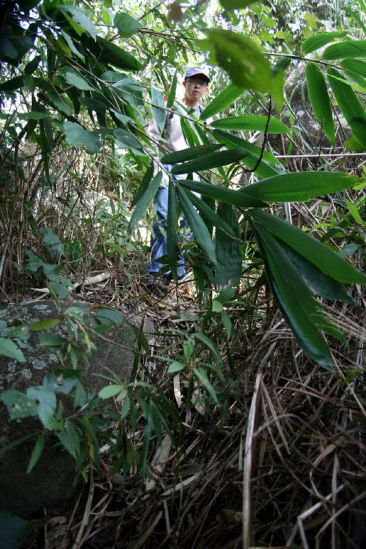 NÚI CHÚA - THẤT ĐỈNH