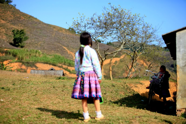 Đào Rừng; Cải Mèo; Măng Lưỡi Lợn......Chuyến đi cuối năm!!!