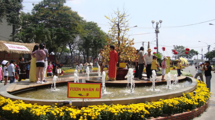 Hình ảnh đường hoa Nguyễn Huệ 2011.