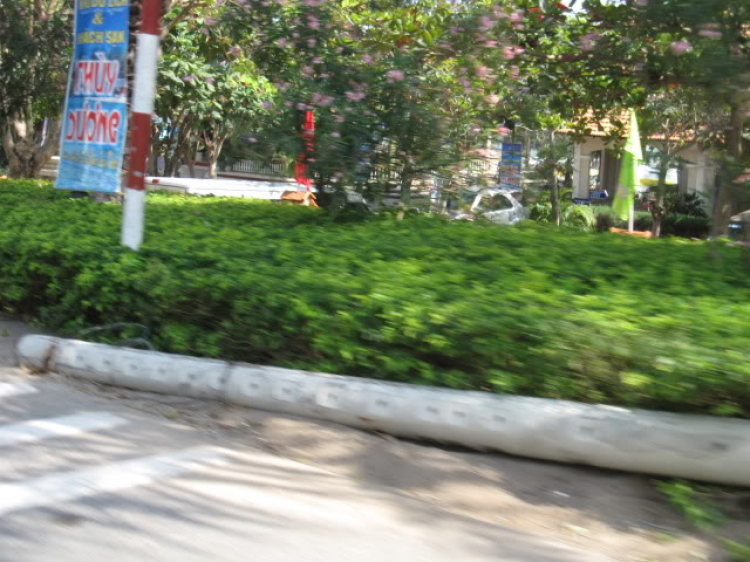 Hình Ảnh Du Xuân Tân Mão-Phước Tỉnh Hình Ảnh Du Xuân Tân Mão-Phước Tỉnh