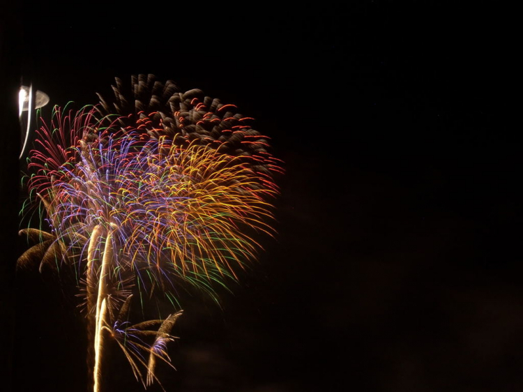 Tết 2011 Tết 2011