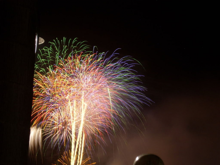 Tết 2011 Tết 2011