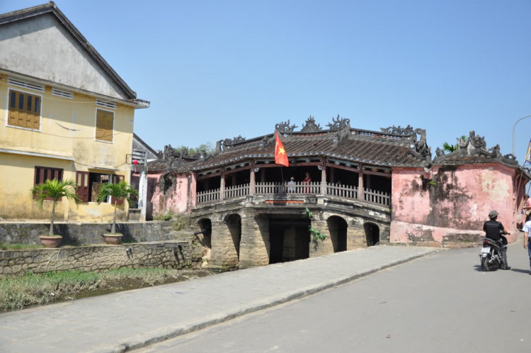 Chia xẻ hình ảnh du xuân con mèo 2011 của XNL Chia xẻ hình ảnh du xuân con mèo 2011 của XNL