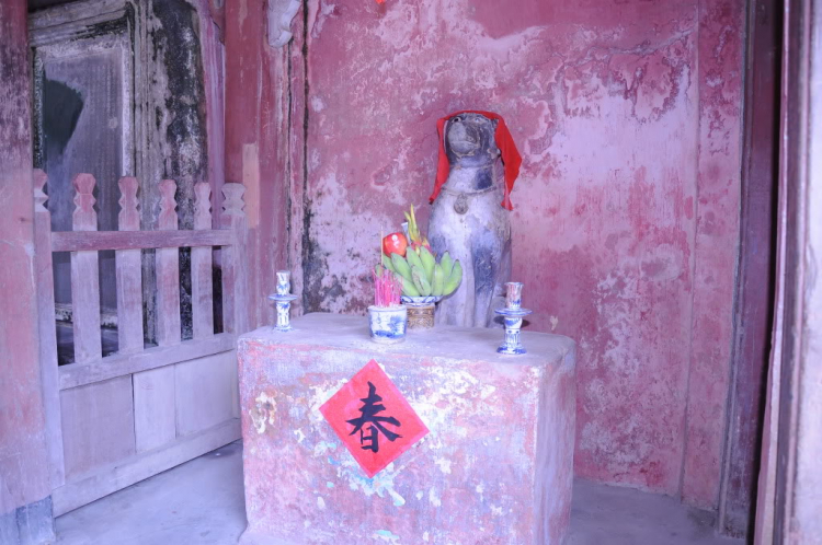 Chia xẻ hình ảnh du xuân con mèo 2011 của XNL Chia xẻ hình ảnh du xuân con mèo 2011 của XNL