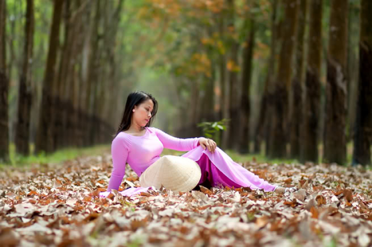 Giao lưu ngày Xuân!!! Tết này các bác ở đâu? làm gì? Giao lưu ngày Xuân!!! Tết này các bác ở đâu? làm gì?