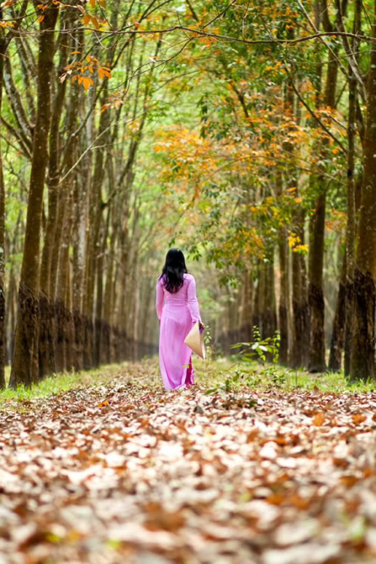 Giao lưu ngày Xuân!!! Tết này các bác ở đâu? làm gì? Giao lưu ngày Xuân!!! Tết này các bác ở đâu? làm gì?