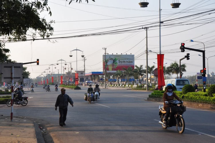 Chia xẻ hình ảnh du xuân con mèo 2011 của XNL Chia xẻ hình ảnh du xuân con mèo 2011 của XNL