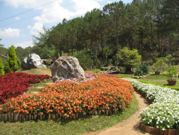 Dalat 18, 19, 20 / 2011 mại dzô