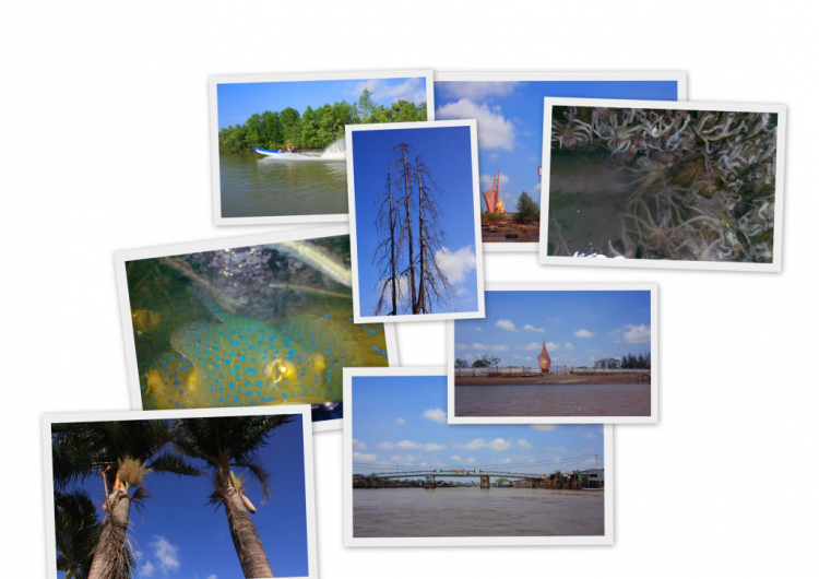 (Dự định) Tour Miền Tây vào dịp 30-4 / 1-5 sấp tới (Bể kèo rồi)