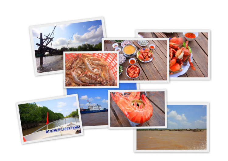 (Dự định) Tour Miền Tây vào dịp 30-4 / 1-5 sấp tới (Bể kèo rồi)