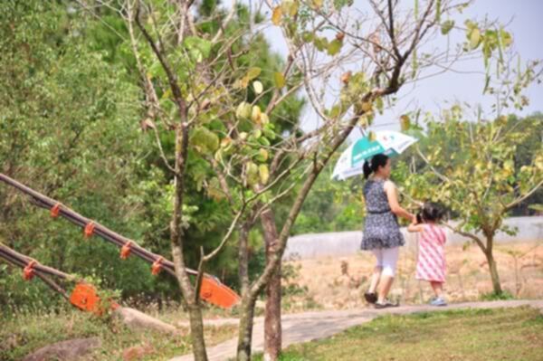 Hình ảnh Tân Niên - Giang Điền 2011