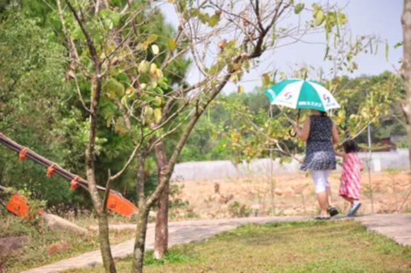 Hình ảnh Tân Niên - Giang Điền 2011