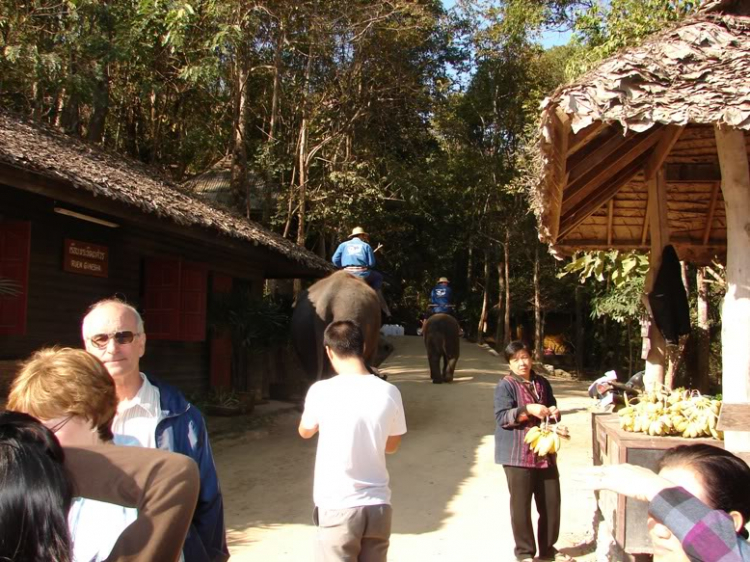 Caravan đến Ayutthaya – Chiang Mai - Bangkok – Koh Kong - 8 ngày! Caravan đến Ayutthaya – Chiang Mai - Bangkok – Koh Kong - 8 ngày!
